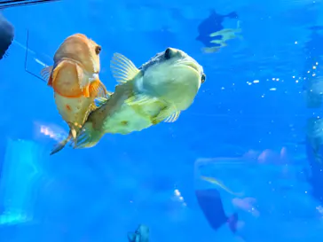 葛西臨海水族園に投稿された画像（2026/6/7）