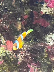 環境水族館アクアマリンふくしまに投稿された画像（2026/6/7）