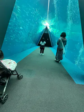 環境水族館アクアマリンふくしまに投稿された画像（2026/6/7）