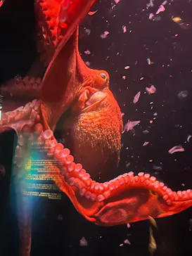 環境水族館アクアマリンふくしまに投稿された画像（2026/6/7）