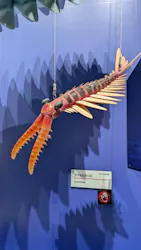 大絶滅展ー生命史のビッグファイブ（名古屋会場）に投稿された画像（2026/6/7）