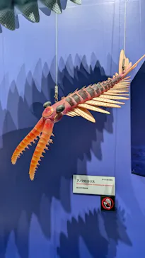 大絶滅展ー生命史のビッグファイブ（名古屋会場）に投稿された画像（2026/6/7）