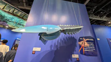 大絶滅展ー生命史のビッグファイブ（名古屋会場）に投稿された画像（2026/6/7）