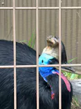東武動物公園に投稿された画像（2026/6/7）