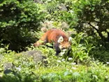 多摩動物公園に投稿された画像（2026/6/7）