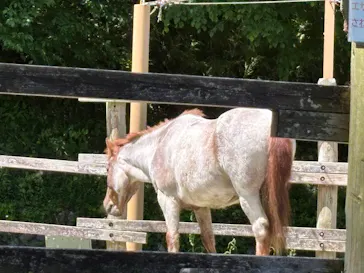 多摩動物公園に投稿された画像（2026/6/7）