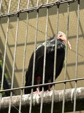 多摩動物公園に投稿された画像（2026/6/7）