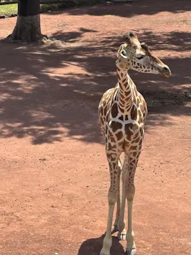 多摩動物公園に投稿された画像（2026/6/7）