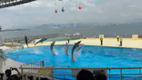 マリンワールド海の中道に投稿された画像（2026/6/7）