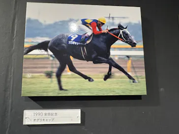 武豊 デビュー40年 ～前人未到の記録～　（銀座三越）に投稿された画像（2026/6/7）