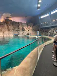 名古屋港水族館に投稿された画像（2026/6/7）