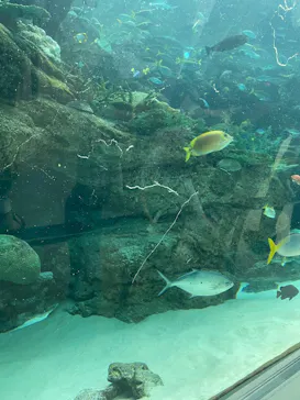 名古屋港水族館に投稿された画像（2026/6/7）