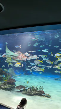 サンシャイン水族館に投稿された画像（2026/6/7）