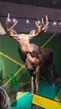 特別展「超危険生物展　科学で挑む生き物の本気」に投稿された画像（2026/6/7）
