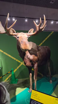 特別展「超危険生物展　科学で挑む生き物の本気」に投稿された画像（2026/6/7）