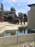 天王寺動物園に投稿された画像（2026/6/7）