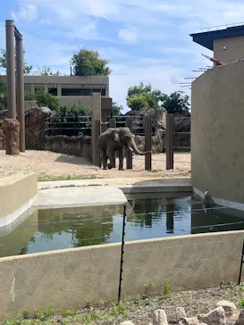 天王寺動物園に投稿された画像（2026/6/7）