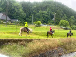 TANIMOTO HORSE RANCH（タニモトホースランチ）に投稿された画像（2026/6/7）