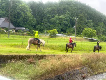 TANIMOTO HORSE RANCH（タニモトホースランチ）に投稿された画像（2026/6/7）