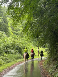 TANIMOTO HORSE RANCH（タニモトホースランチ）に投稿された画像（2026/6/7）