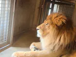 天王寺動物園に投稿された画像（2026/6/7）