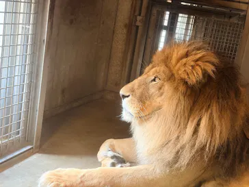 天王寺動物園に投稿された画像（2026/6/7）