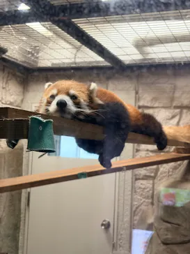 天王寺動物園に投稿された画像（2026/6/7）