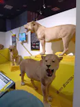 特別展「超危険生物展　科学で挑む生き物の本気」に投稿された画像（2026/6/7）