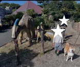 伊豆ぐらんぱる公園に投稿された画像（2026/6/7）