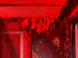 東武動物公園に投稿された画像（2026/6/7）
