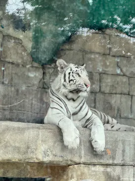 東武動物公園に投稿された画像（2026/6/7）