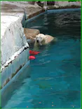 天王寺動物園に投稿された画像（2026/6/7）
