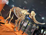 特別展「超危険生物展　科学で挑む生き物の本気」に投稿された画像（2026/6/7）