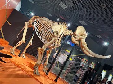 特別展「超危険生物展　科学で挑む生き物の本気」に投稿された画像（2026/6/7）