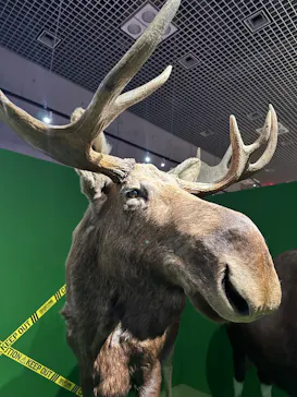 特別展「超危険生物展　科学で挑む生き物の本気」に投稿された画像（2026/6/7）