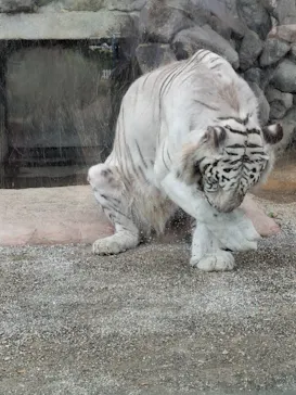 東武動物公園に投稿された画像（2026/6/7）