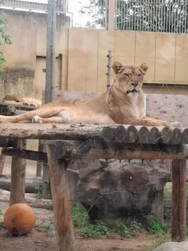 東武動物公園に投稿された画像（2026/6/7）