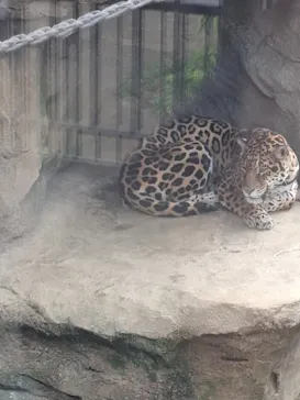 東武動物公園に投稿された画像（2026/6/7）