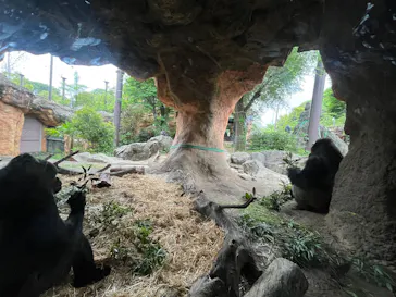 恩賜上野動物園に投稿された画像（2026/6/7）