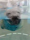 京都水族館に投稿された画像（2026/6/7）