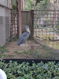 恩賜上野動物園に投稿された画像（2026/6/7）