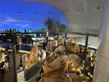 福井県立恐竜博物館に投稿された画像（2026/6/7）