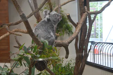 こども動物自然公園（埼玉県公園緑地協会）に投稿された画像（2026/6/7）