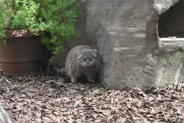 こども動物自然公園（埼玉県公園緑地協会）に投稿された画像（2026/6/7）