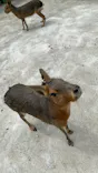 まかいの牧場に投稿された画像（2026/6/7）