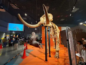 特別展「超危険生物展　科学で挑む生き物の本気」に投稿された画像（2026/6/7）