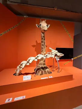 特別展「超危険生物展　科学で挑む生き物の本気」に投稿された画像（2026/6/7）