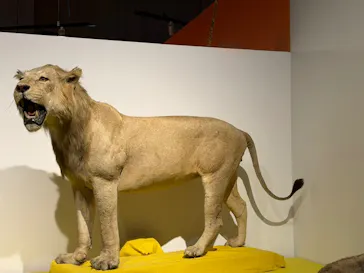 特別展「超危険生物展　科学で挑む生き物の本気」に投稿された画像（2026/6/7）