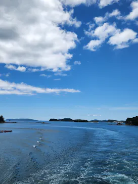 九十九島遊覧船に投稿された画像（2026/6/7）