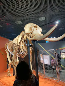 特別展「超危険生物展　科学で挑む生き物の本気」に投稿された画像（2026/6/7）